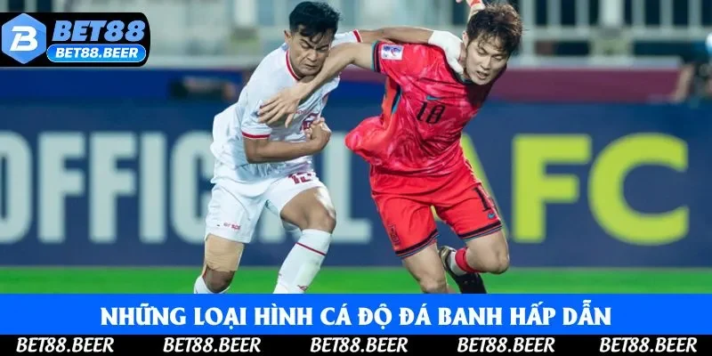 Tổng hợp những loại hình cá độ đá banh hấp dẫn Tổng hợp những loại hình cá độ đá banh hấp dẫn